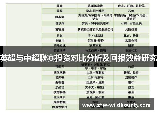 英超与中超联赛投资对比分析及回报效益研究