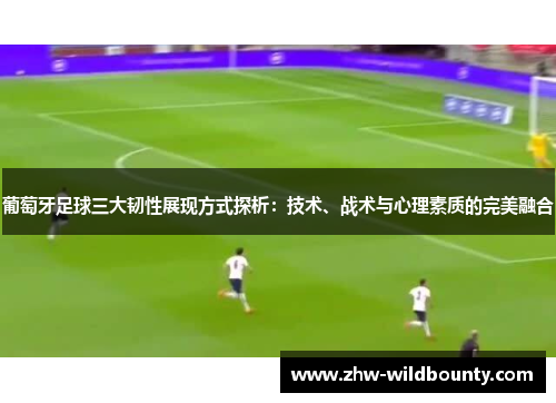 葡萄牙足球三大韧性展现方式探析:技术、战术与心理素质的完美融合 葡萄牙足球三大韧性展现方式探析:技术、战术与心理素质的完美融合