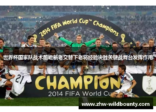 世界杯国家队战术前瞻新老交替下老将经验决胜关键战舞台发挥作用 世界杯国家队战术前瞻新老交替下老将经验决胜关键战舞台发挥作用