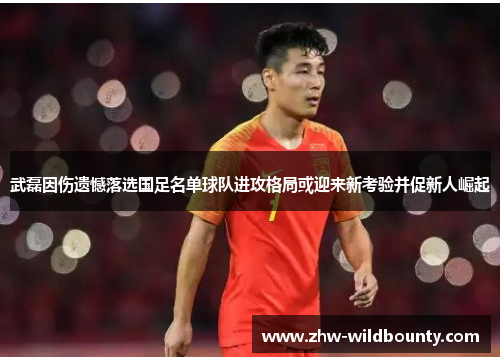 武磊因伤遗憾落选国足名单球队进攻格局或迎来新考验并促新人崛起