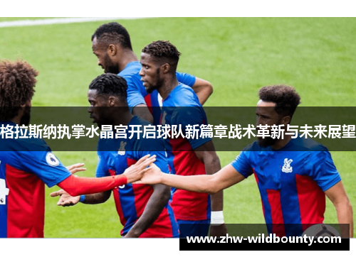 格拉斯纳执掌水晶宫开启球队新篇章战术革新与未来展望